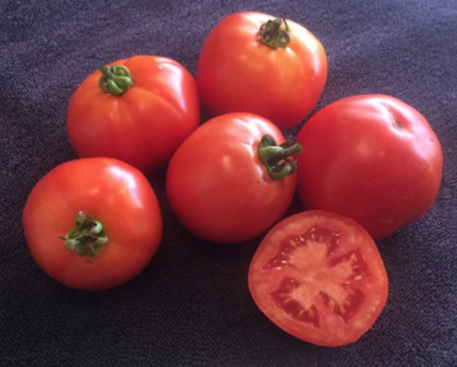 Substitutes — Chicago Tomato Man
